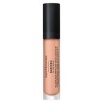 BAREPRO 16 HR Concealer