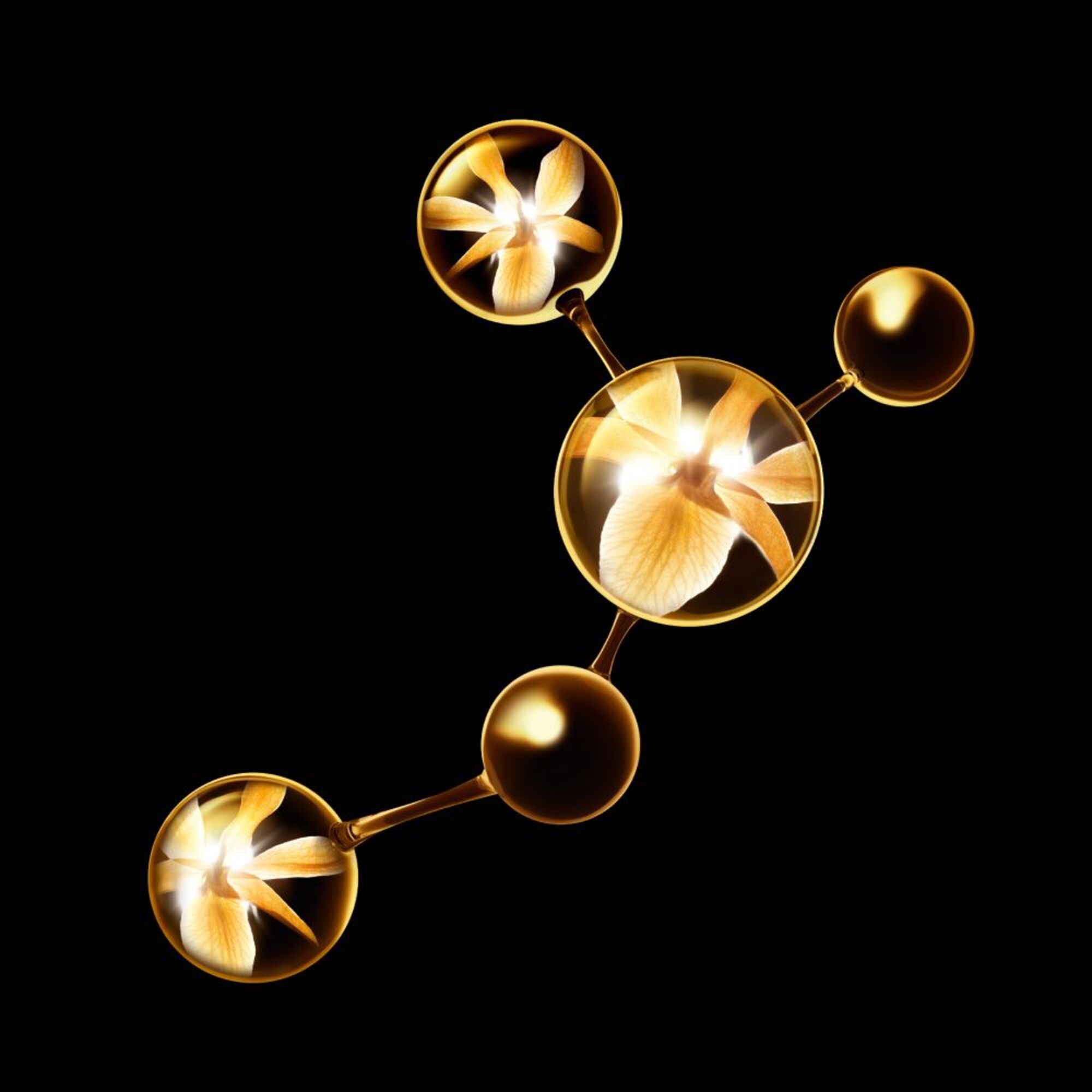 DAS ULTIMATIVE SERUM: REGENERIERT UND STÄRKT DIE HAUTDICHTE