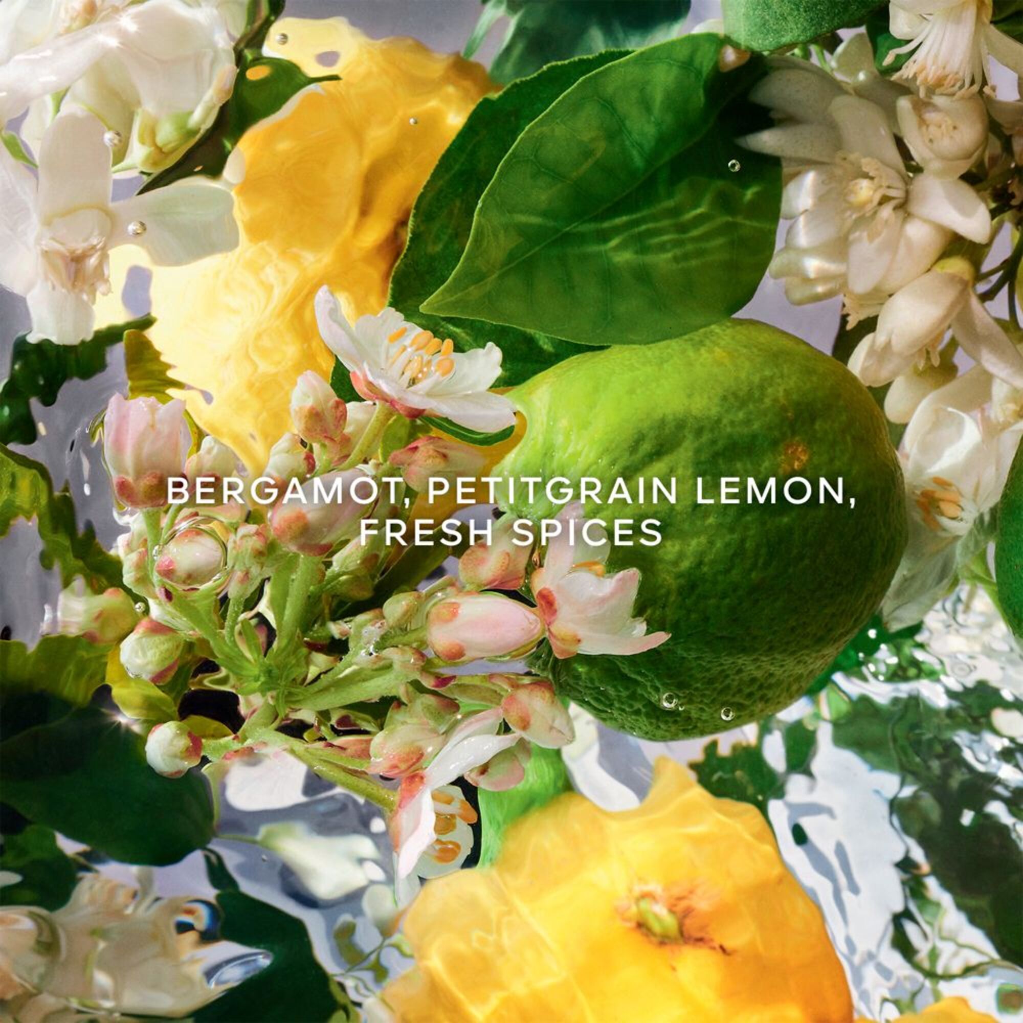 Bergamote Calabria Eau de Toilette Refill