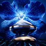 50 ML Guerlain ORCHIDÉE IMPÉRIALE Anti-Aging Tagescreme 2 of 8 Anti-Aging Tagescreme