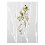 90 ML Maison Margiela MAISON MARTIN MARGIELA Mutiny Eau de Parfum, 90 ml 2 of 3 Mutiny Eau de Parfum, 90 ml