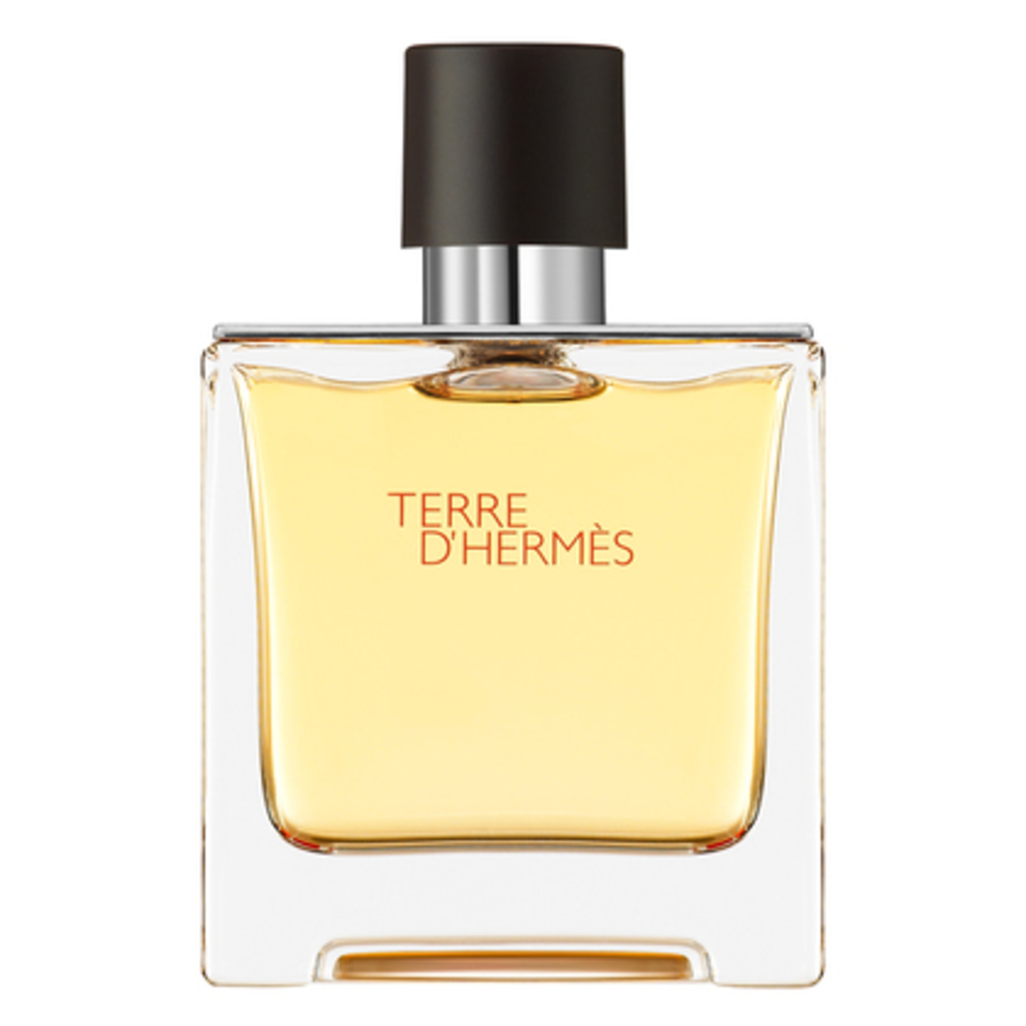 75 ML Hermès TERRE D'HERMÈS TERRE D'HERMÈS Eau de Parfum  TERRE D'HERMÈS Eau de Parfum