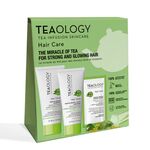 30 ML TEAOLOGY MATCHA HAIR SET Set  1 of 1 Set