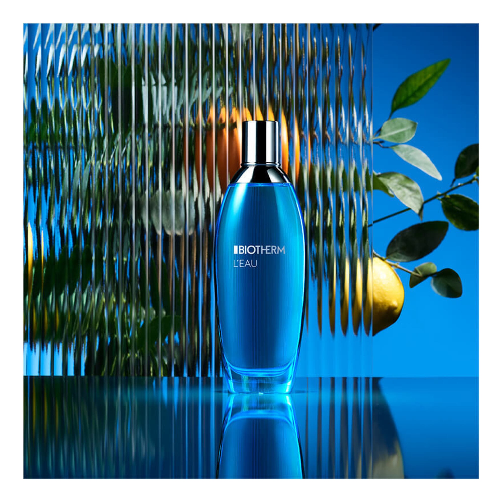 L'Eau Eau de Toilette