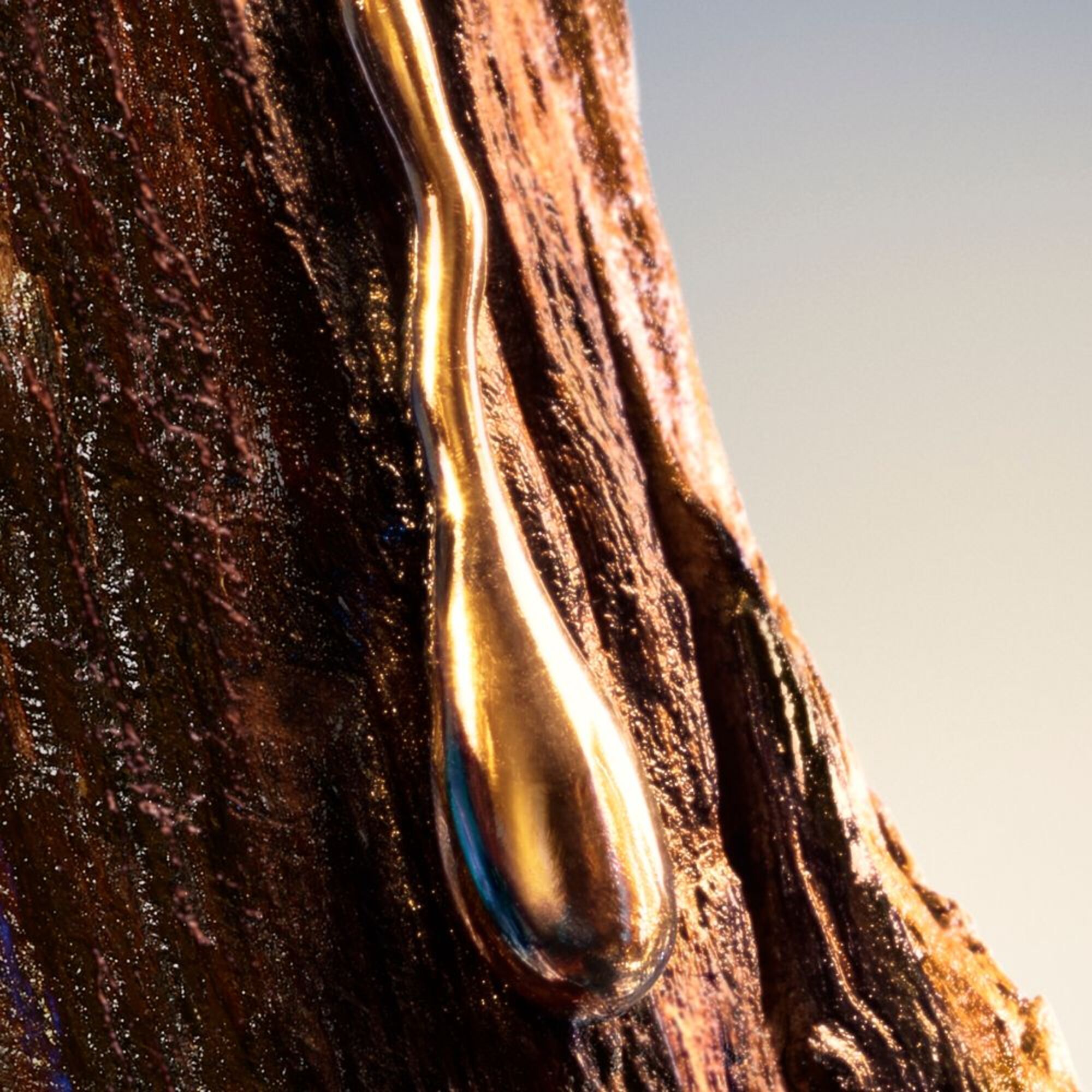 DF DEO COOL ELIXIR PARFUM