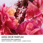20 ML Dior MISS DIOR LE PARFUM Parfum Roller-Pearl  2 of 3 Parfum Roller-Pearl