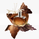125 ML Hermès BARÉNIA INTENSE HERMES REF. BARÉNIA INTENSE ED 4 of 6 HERMES REF. BARÉNIA INTENSE ED