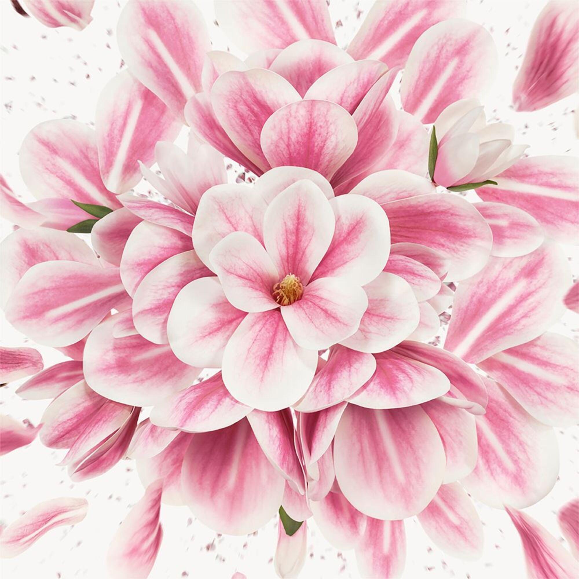 Eau de Parfum Refill