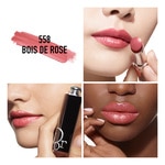 3,2 G Dior DIOR ADDICT LIP COLOR Lippenstift Refill  2 of 3 Lippenstift Refill