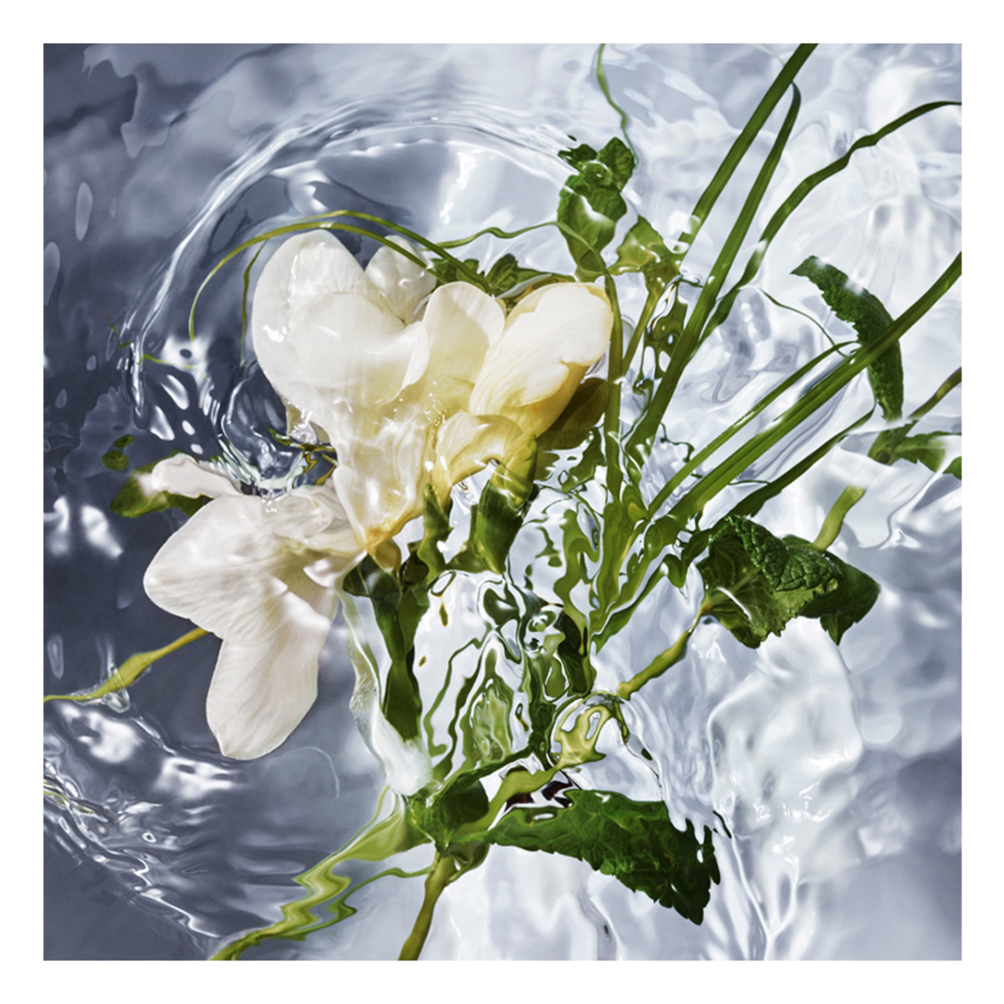 Herba Fresca Eau de Toilette