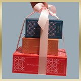 Elemis-Teaser-160x160-2.jpg