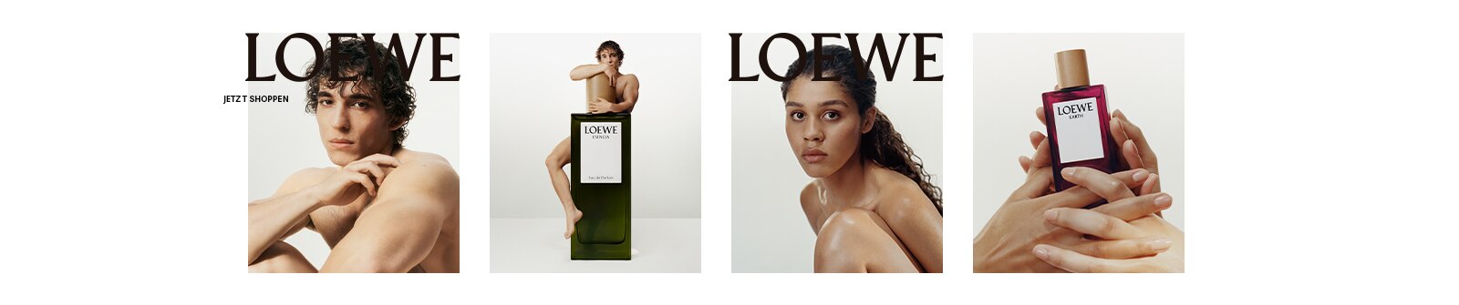 Banner-22-WW-38-40-Loewe-DT.jpg
