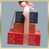 Elemis-Teaser-160x160-4.jpg